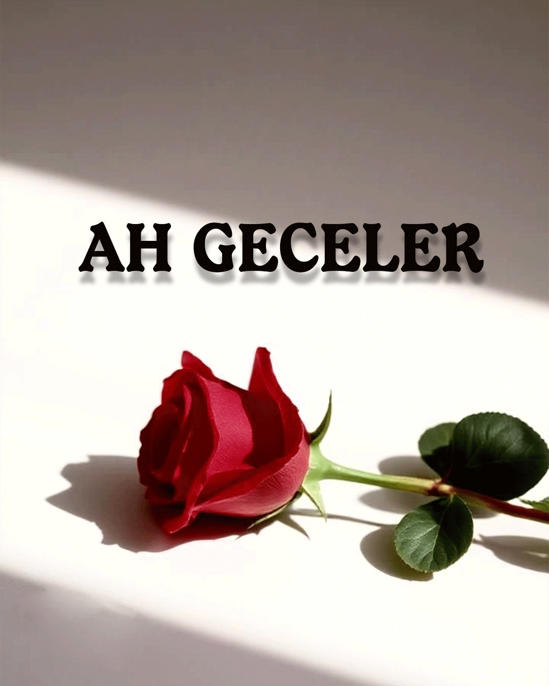 Görsel